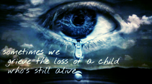 Grieving for a living child - AFLA Blog 2016