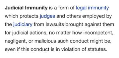 Judicial Immunity - 2015