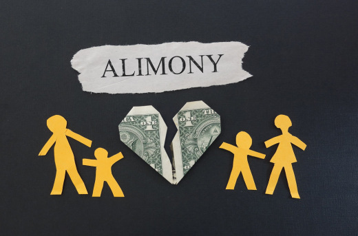 is-florida-s-governor-scott-making-alimony-reform-political-again1